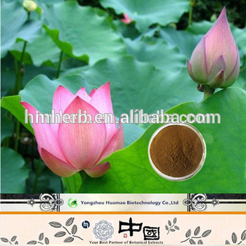 Natural Plant Extract Powder flavonoids lotus leaf extract 